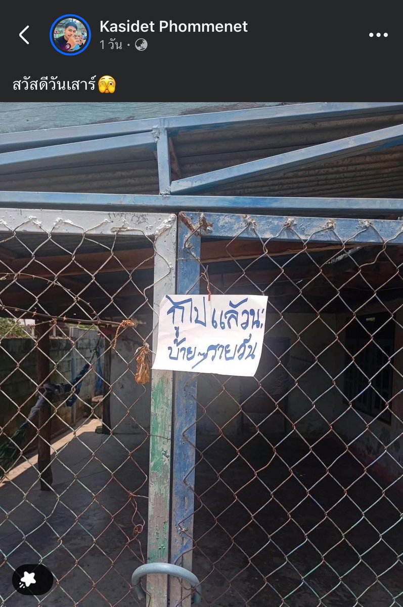 รีแอคชั่น วิดีโอ🏳️‍🌈 tweet media