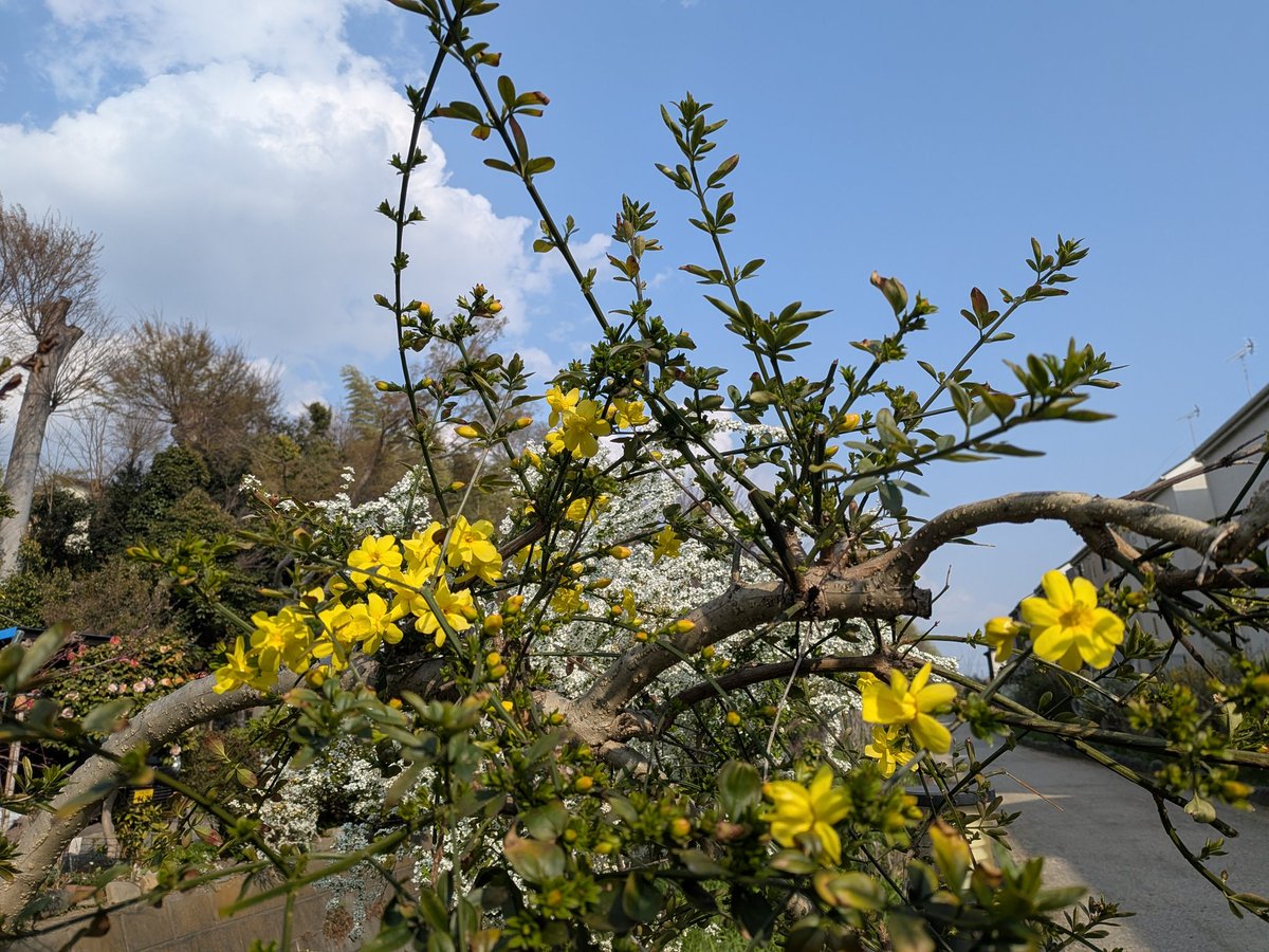 浄霊師@介護士まみ tweet media