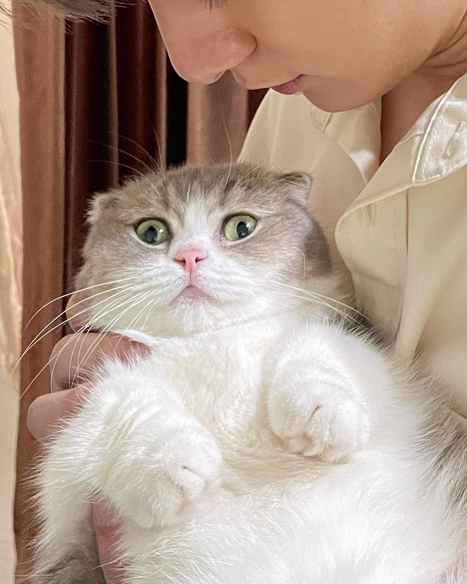 daydream 💛⛅✏️📖 tweet media