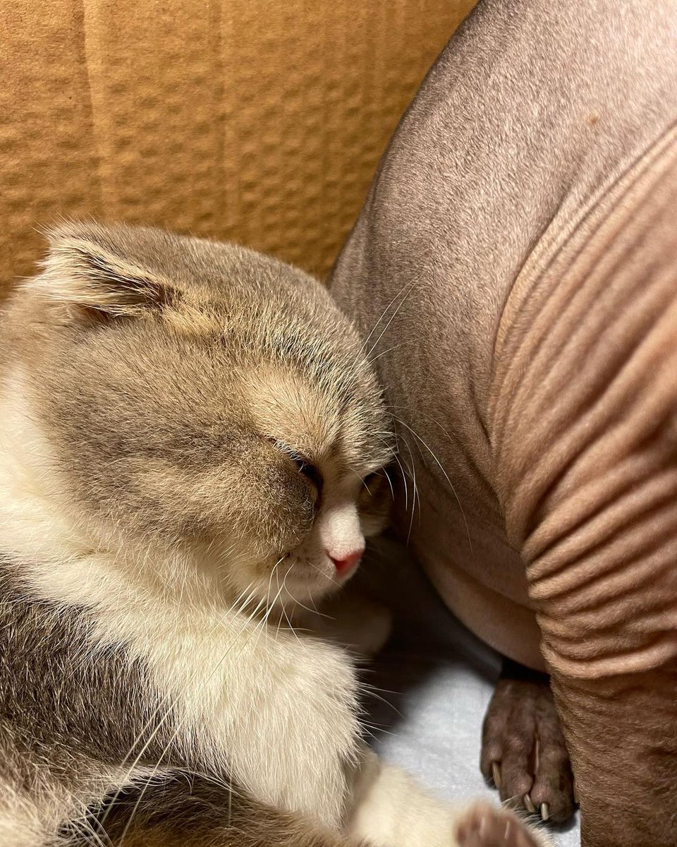 daydream 💛⛅✏️📖 tweet media