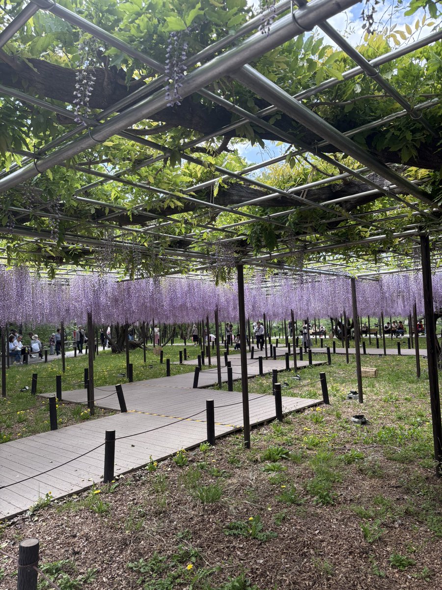 千乃🧸 tweet media