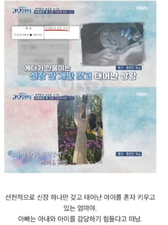 견백 tweet media