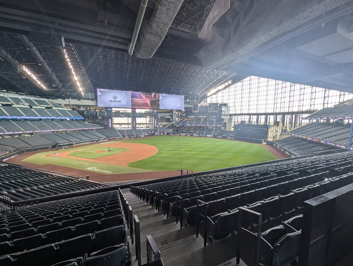 しまざき tweet media