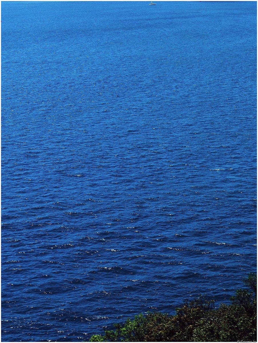 伊東和則 Kazunori ITO tweet media