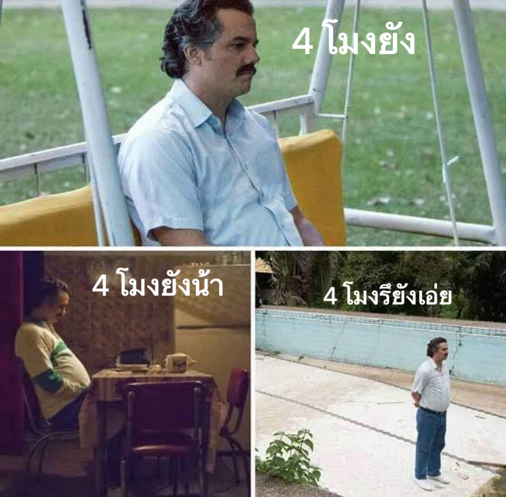 น้องนวย 🐈‍⬛ ft.น้องลูกอู tweet media