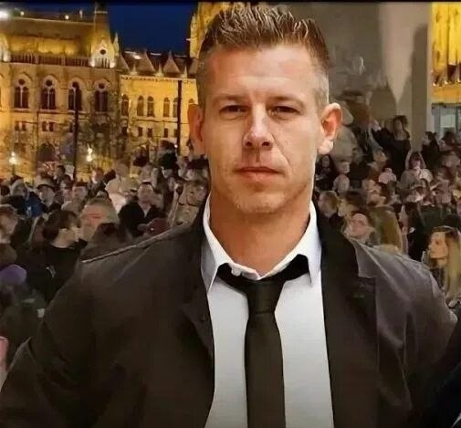 ⭐ 𝙿𝚊𝚖𝚙𝚑𝚕𝚎𝚝𝚜 ⭐ tweet media