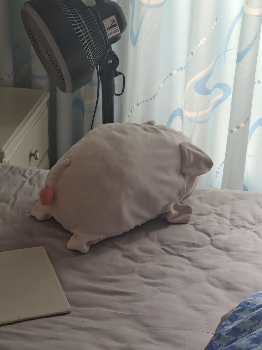 别舔了^o^ tweet media