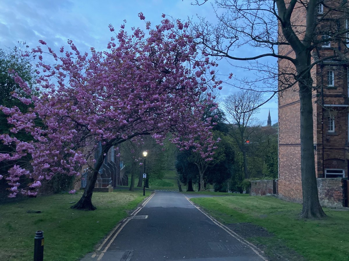 FYoungWriter's tweet image. #Monday #Scarborough #sunrise 🌅 A cool blue start to the day during the early morning run today 🌅 Lots of blues and greys as the sun was about to rise 🌅 Have a good day, everyone 🌅