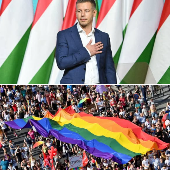 Eduardo Rodriguez tweet media