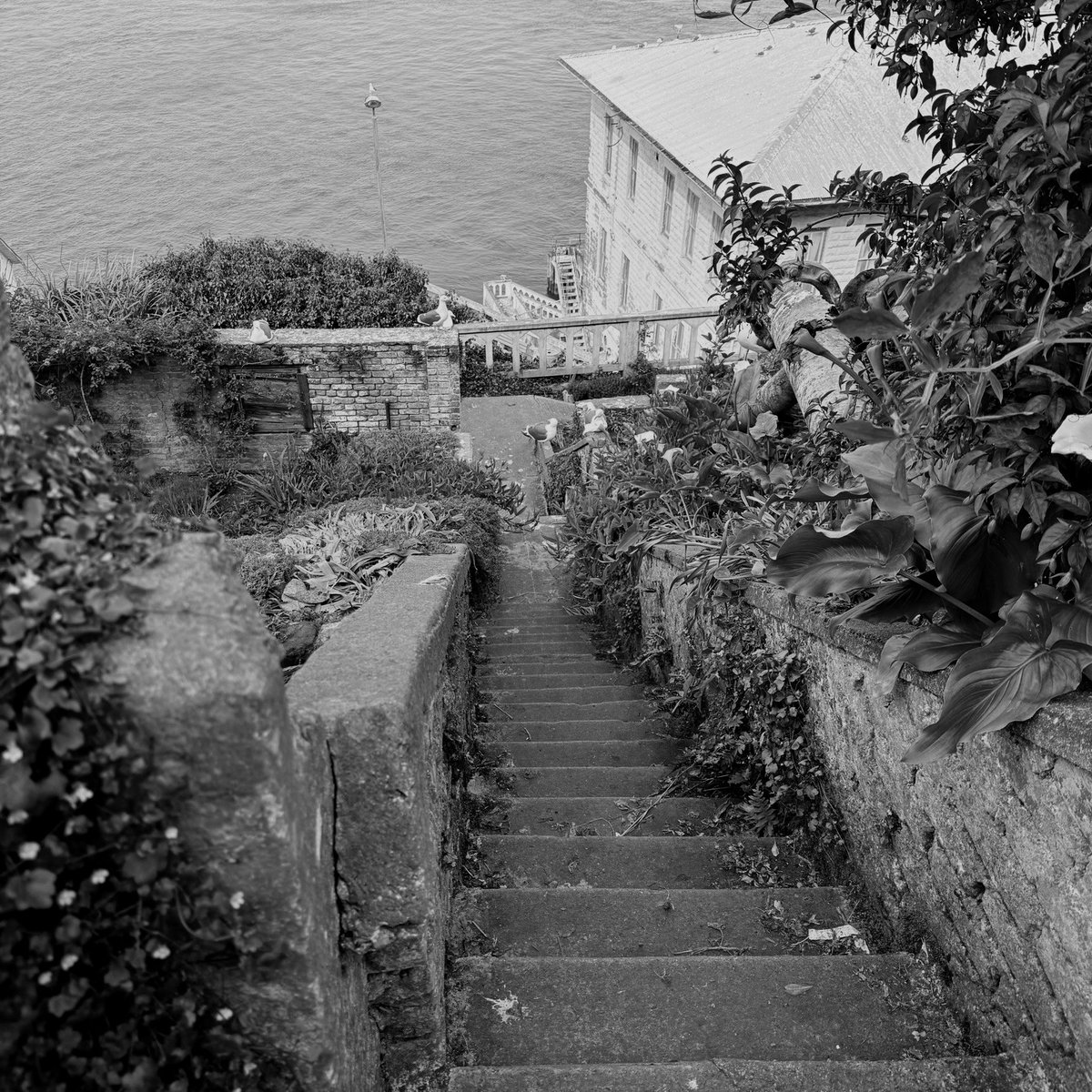 GHTPrivateTours's tweet image. Worry-free #AlcatrazIsland group tours 🏝️ All-inclusive package with tickets, #transportation &amp;amp; coordinated planning—no stress, no hassle, just a seamless experience from start to finish. Perfect for groups, #corporate travelers &amp;amp; #VIP visitors in #SF #GoldenHorizonTravel