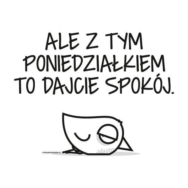 Ewka - 2 konto 🇵🇱 🇪🇺 📚📚💫 tweet media