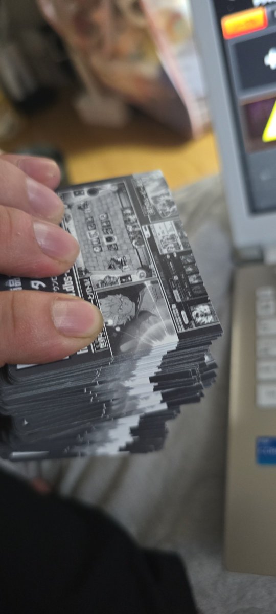 Alexです！🐯🐾 tweet media