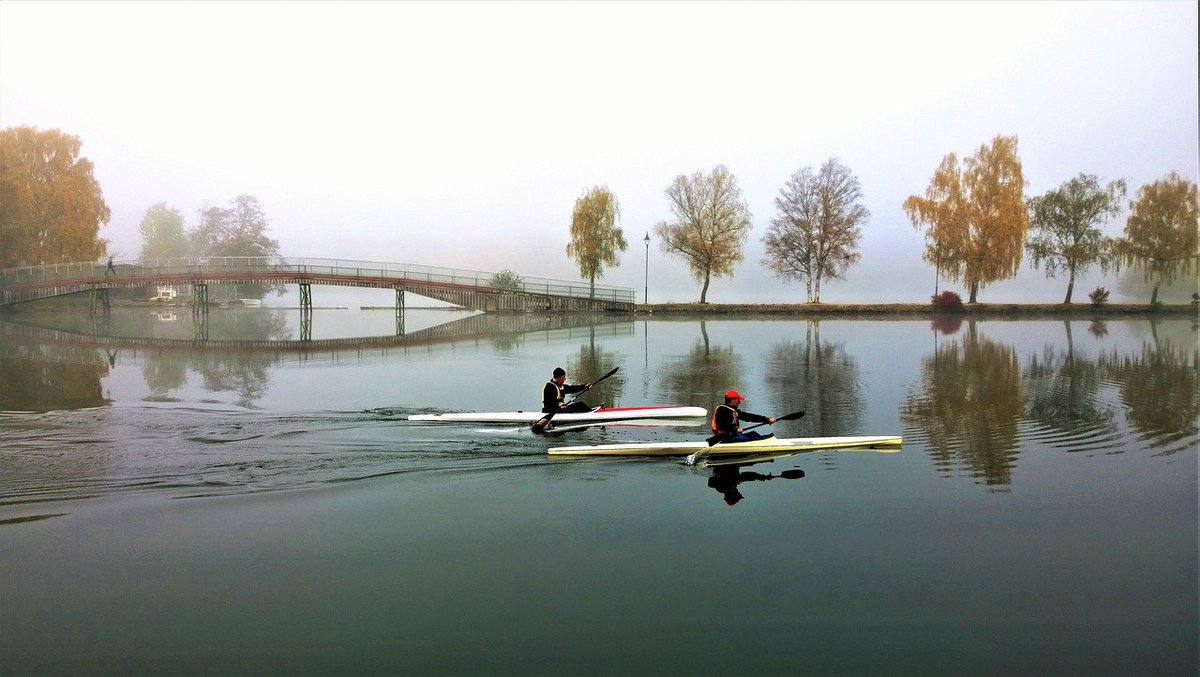 Sherri Anderson tweet media