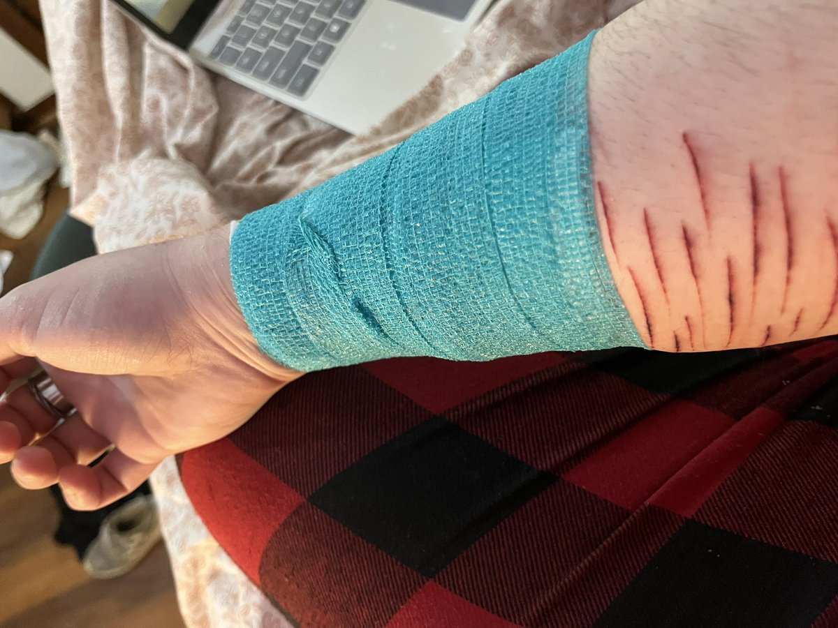 ☆ grace of shtwt ☆ tweet media