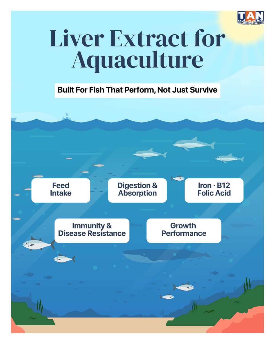 titananimalfeed's tweet image. Liver Extract for Aquaculture is built for fish that perform, not just survive. Boosts feed intake, improves digestion &amp;amp; absorption, supports steady growth, &amp;amp; strengthens immunity with Iron, B12 &amp;amp; Folic Acid.
Learn more: titananimalnutrition.com/liver-extract/

#Aquaculture #Shrimp #FeedAdditive