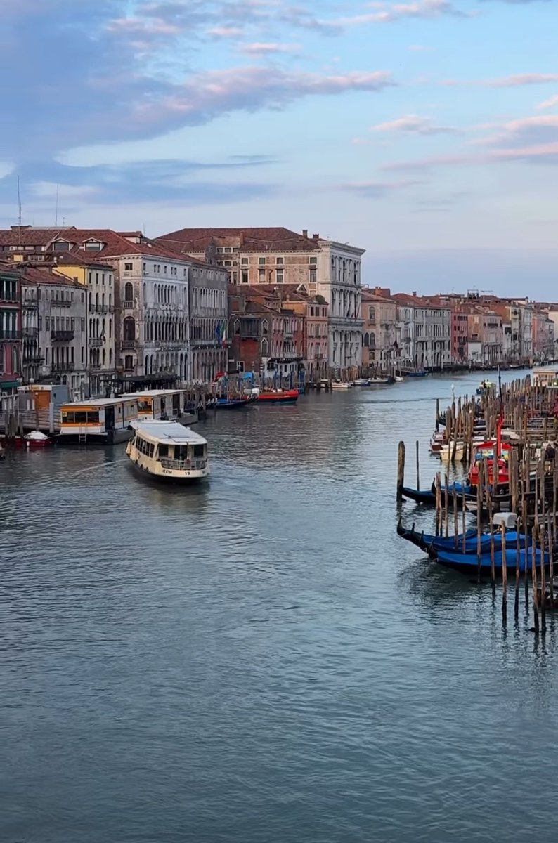 Monica 🍀⚘️🌍📚🐞🎧 tweet media