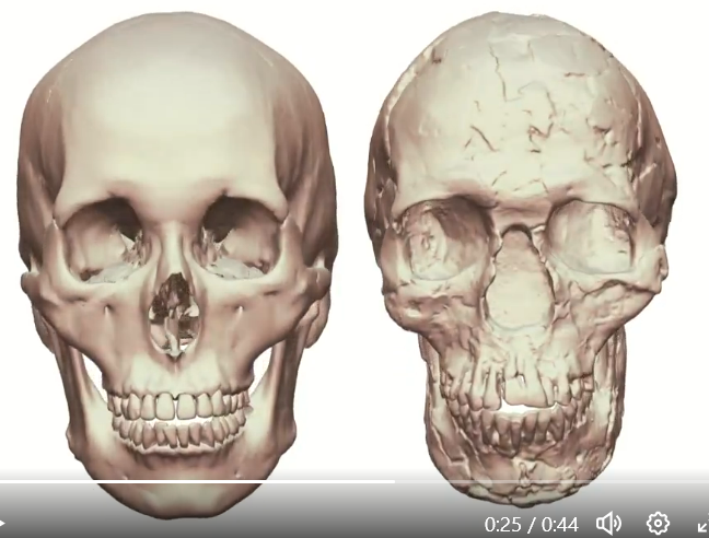 DevinDTV tweet media