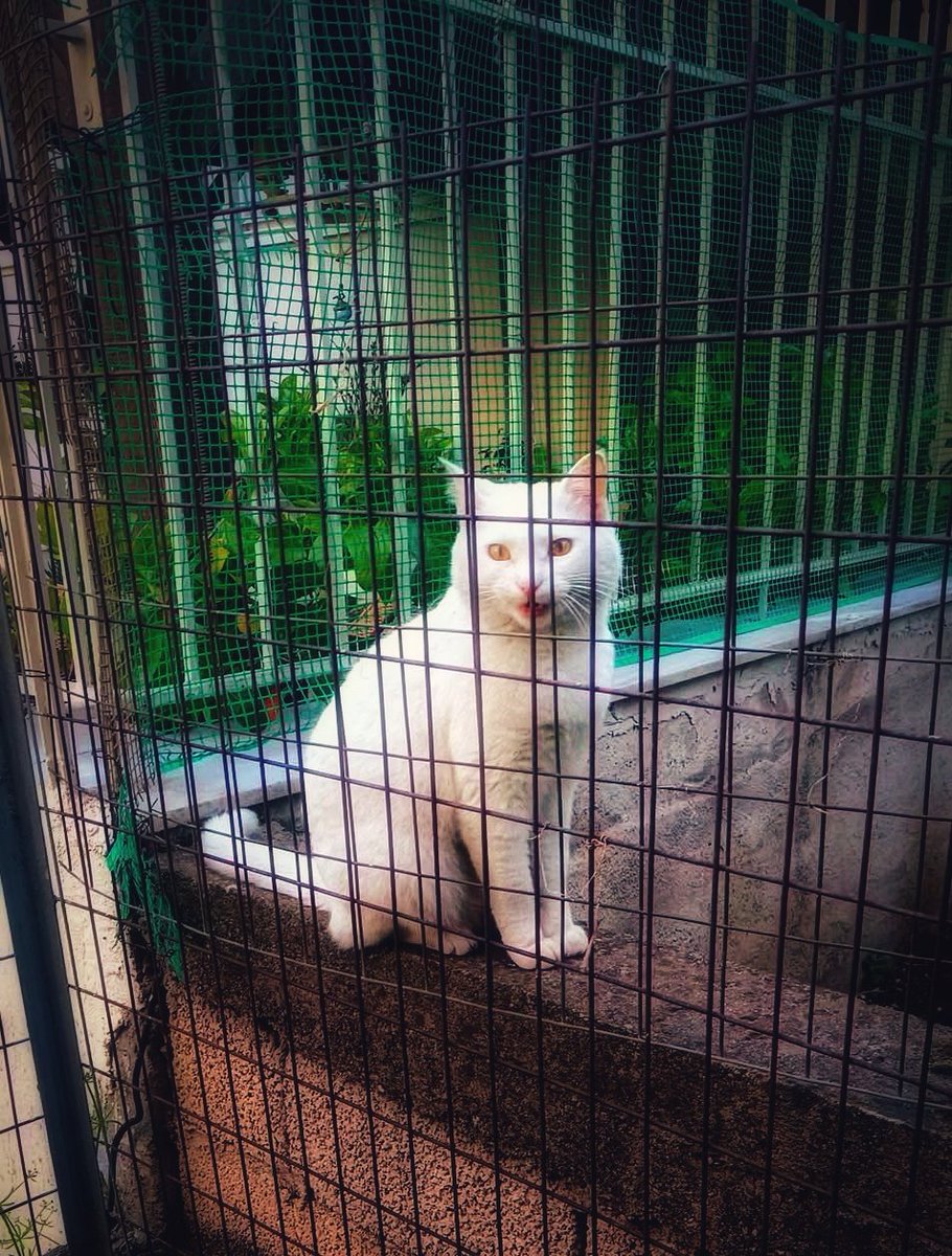 Μόλις χθες γνώρισα την πιο όμορφη γειτόνισσα 💕