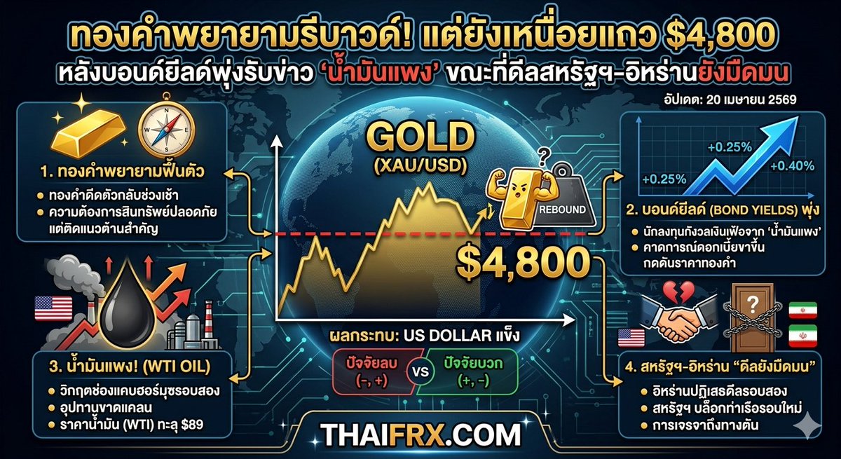 thaifrx's tweet image. ทองคำพยายามรีบาวด์! แต่ยังเหนื่อยแถว $4,800 หลังบอนด์ยีลด์พุ่งรับข่าว “น้ำมันแพง” ขณะที่ดีลสหรัฐฯ-อิหร่านยังมืดมน thaifrx.com/%e0%b8%97%e0%b… ผ่าน @THAIFRX.com #Forex #ฟอร์เร็กซ์
#ราคาทอง #ทองคำแท่ง #ทองคำวันนี้ #gold #XAUUSD #ทองคำ #ทอง 
#ราคาทองคำ #ราคาทองคําวันนี้