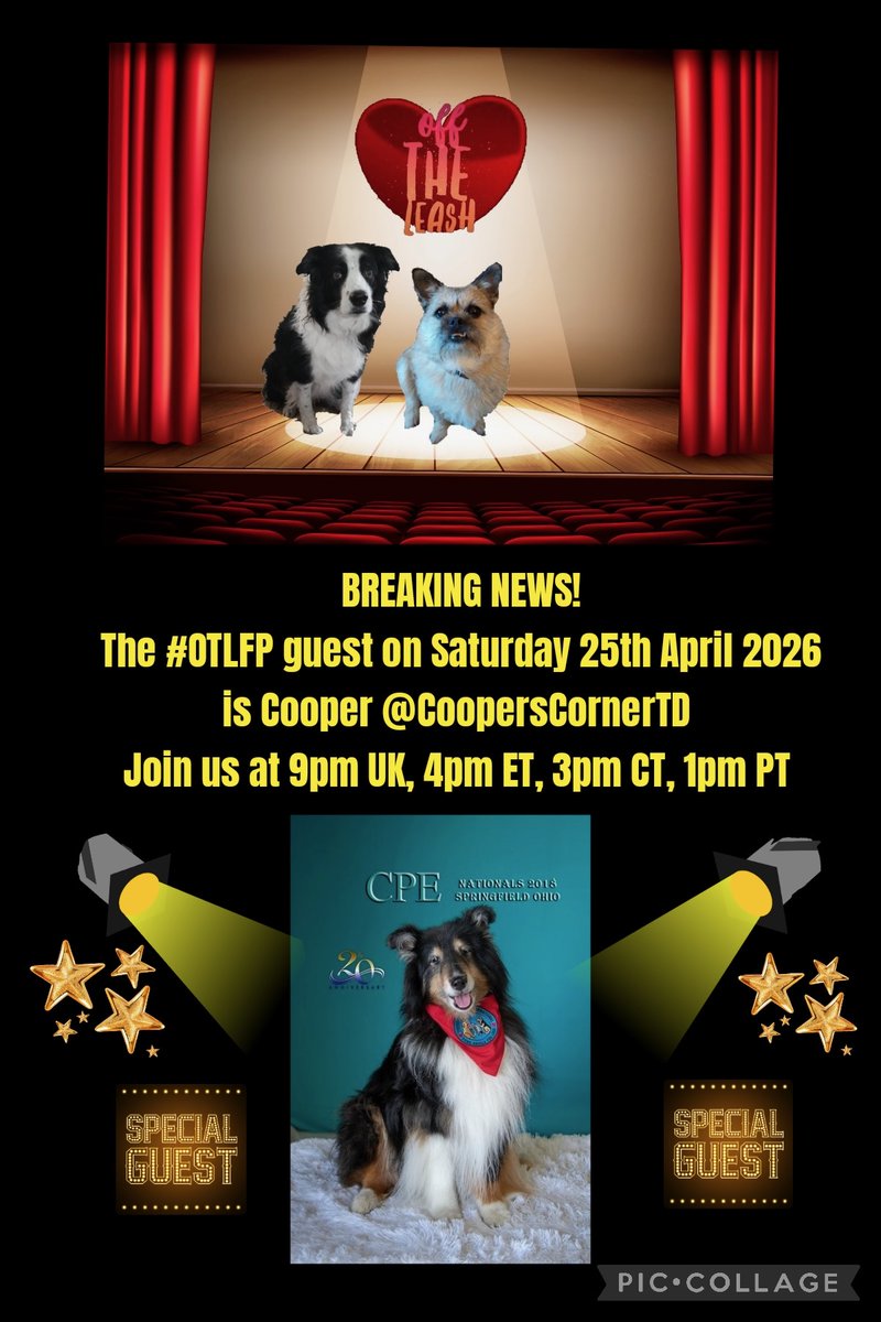 OffTheLeashFP 💔RIP Beautiful Millie&Sweet Pixie🌈 tweet media