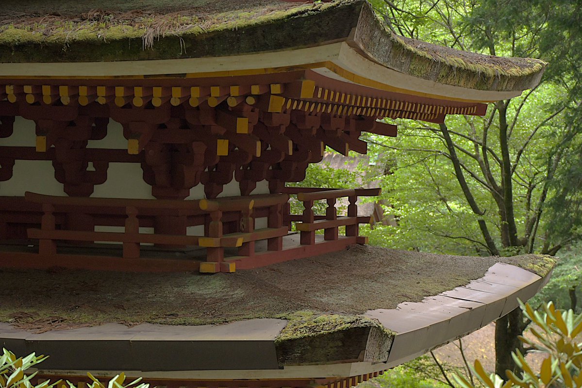 真言宗室生寺派　大本山室生寺【公式】 tweet media