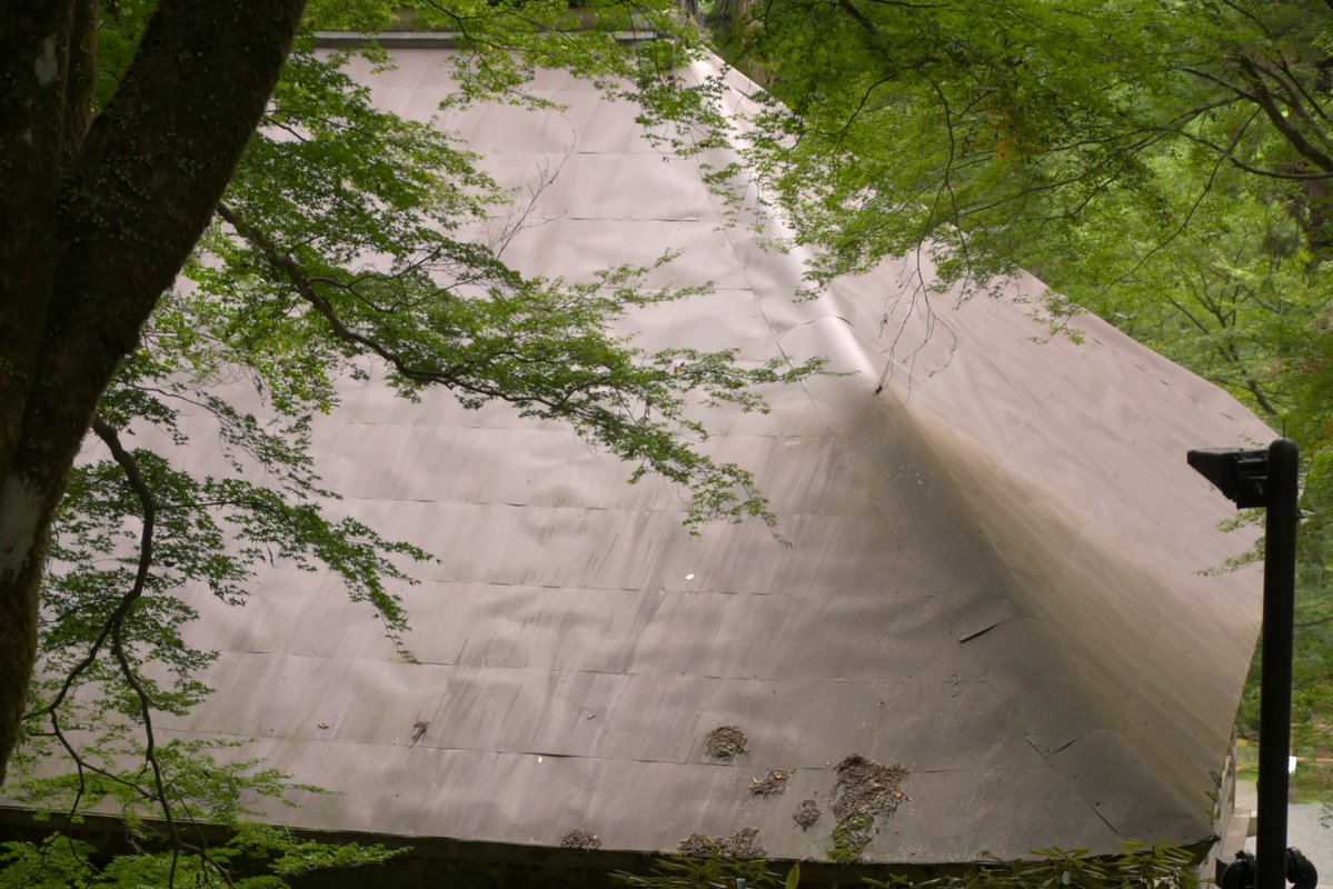 真言宗室生寺派　大本山室生寺【公式】 tweet media