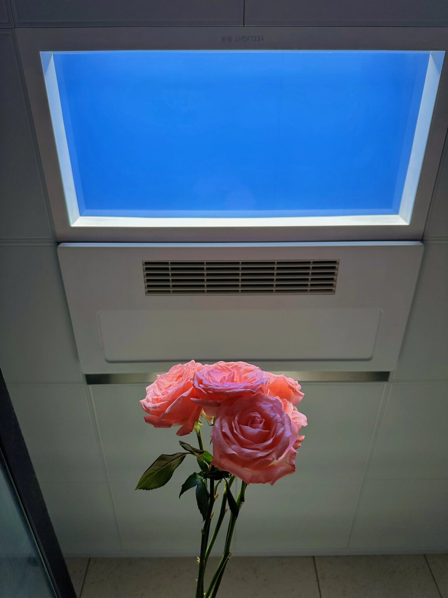 Kayse M. tweet media