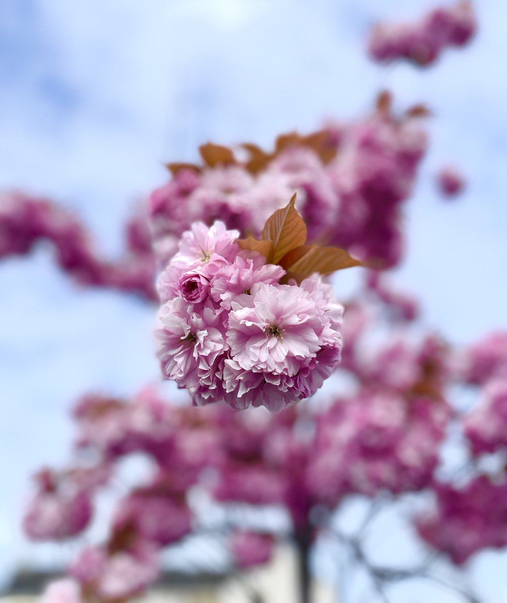 Sheena Wight tweet media