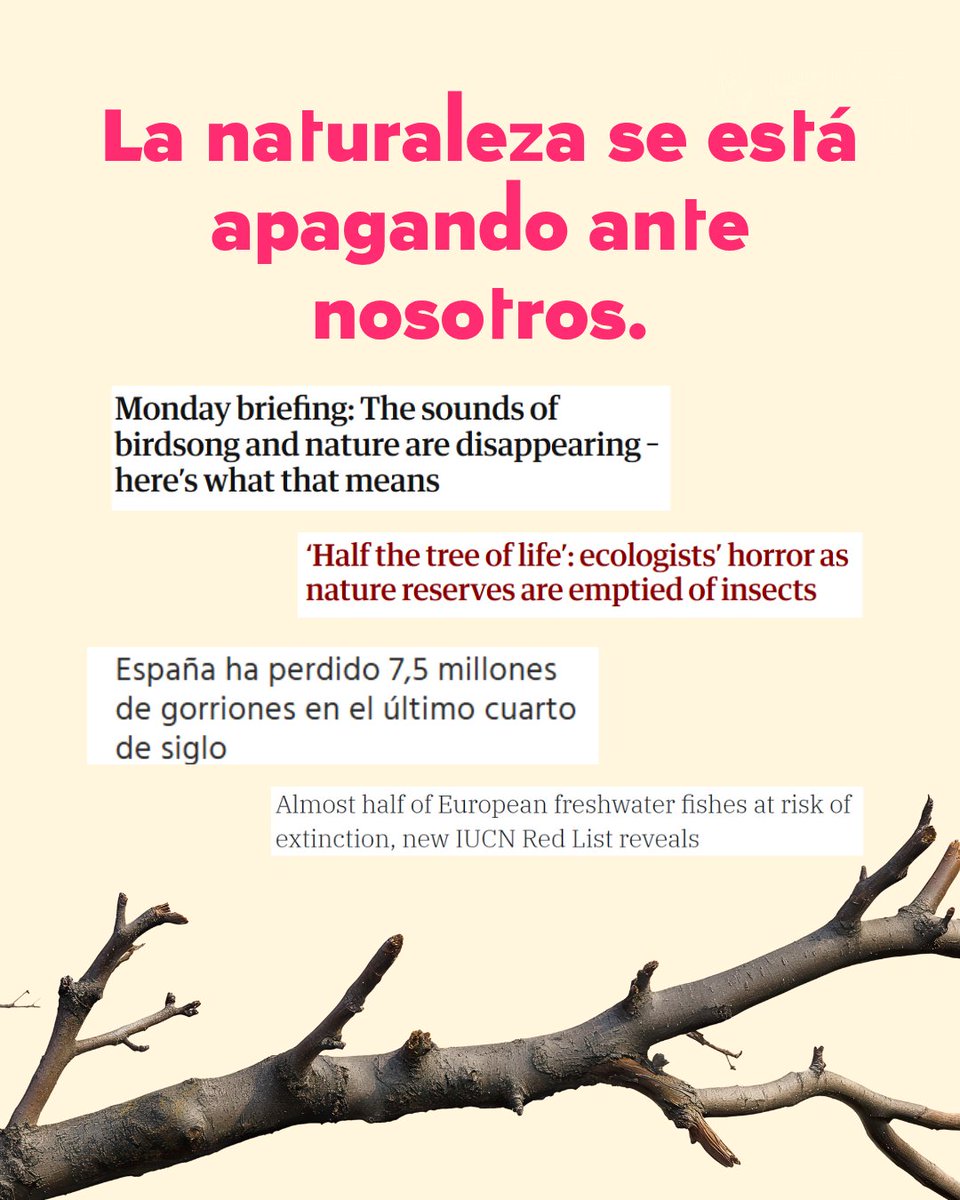 SEO/BirdLife tweet media