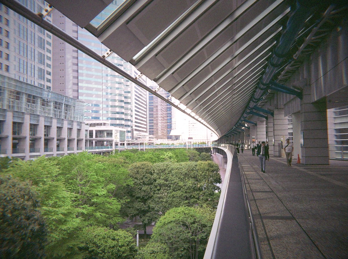 negibou_photo's tweet image. #Flashback
20260420