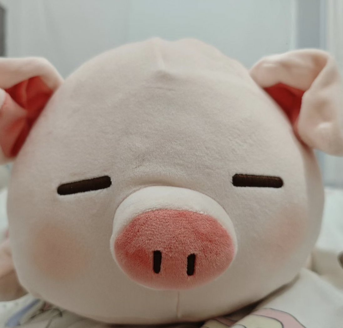 你像一个笨蛋 tweet media