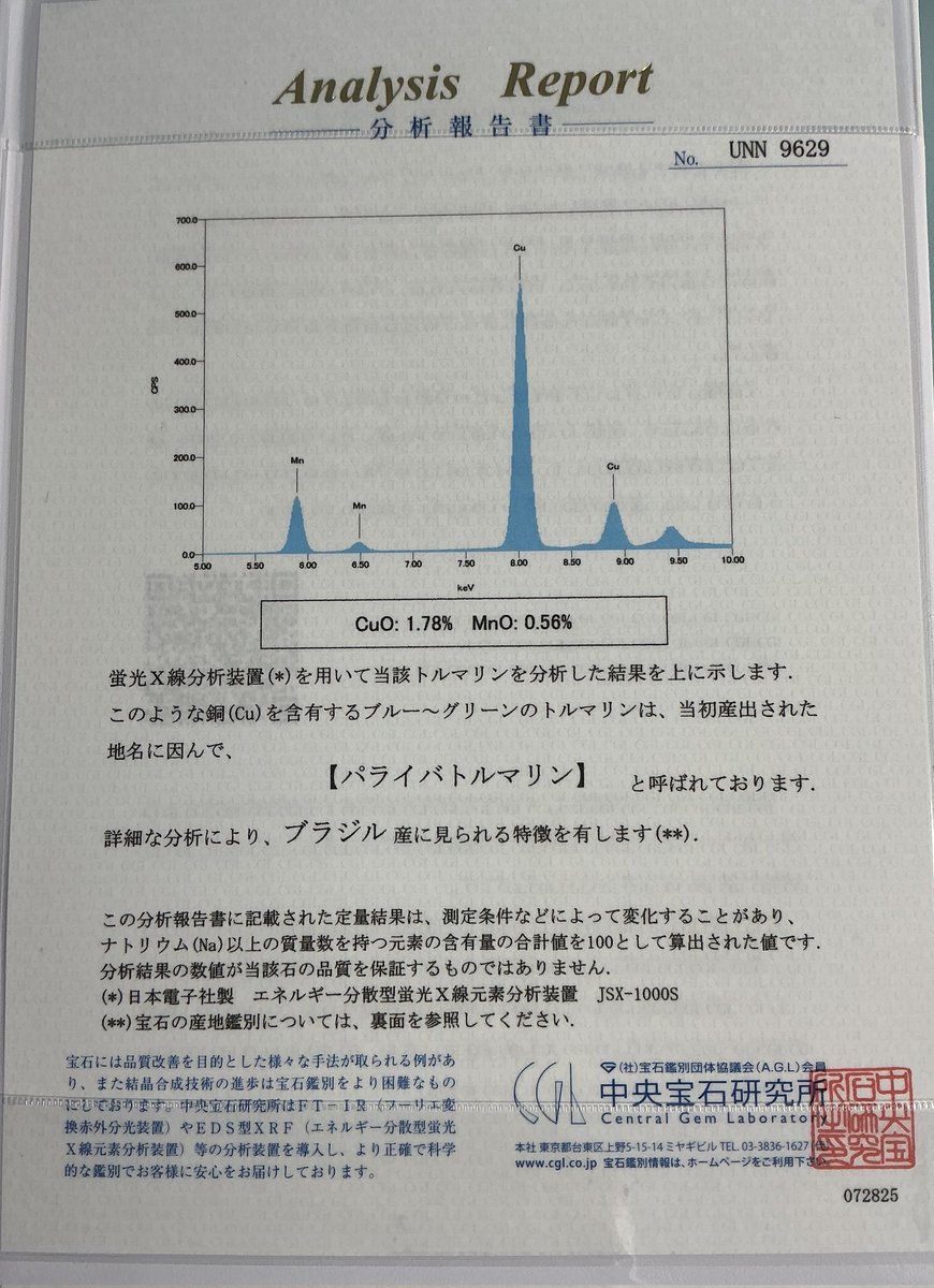 해파리🪼 tweet media