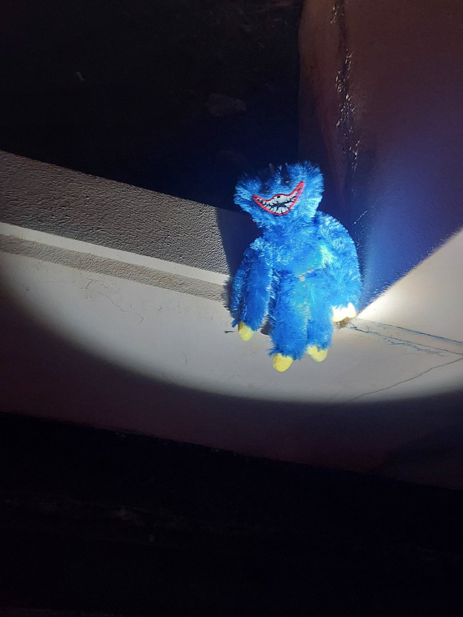 いちは𓆪 tweet media