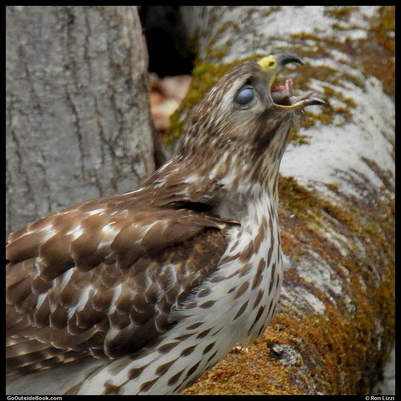 GoOutsideBook.com tweet media