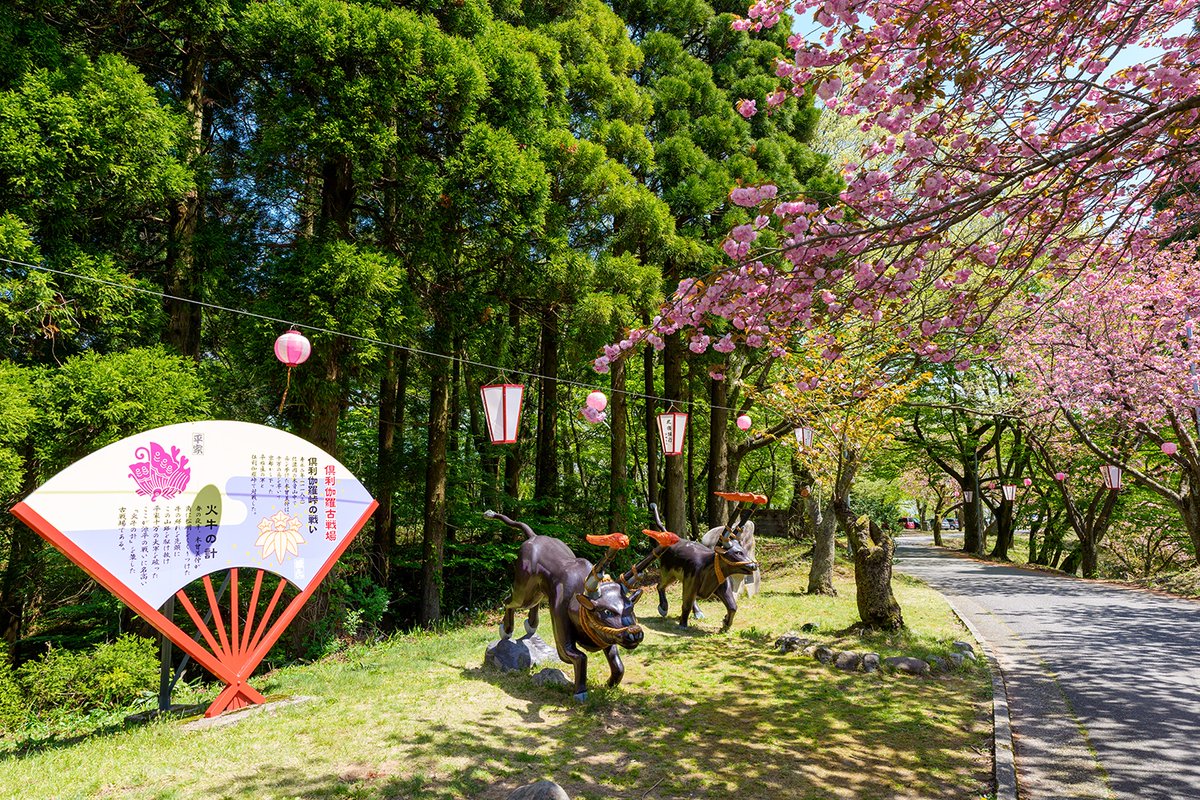 倶利伽羅峠の八重桜を眺めてきました。
ちょうど満開で、色鮮やかな桜の花と芽吹いたばかりの新緑とのコントラストがすばらしかったです。
ゆっくりしたかったんですけど、いろいろやることが山積みになっていて、短時間しか滞在できなかったけど、いいリフレッシュができて、今週もがんばれそうです。