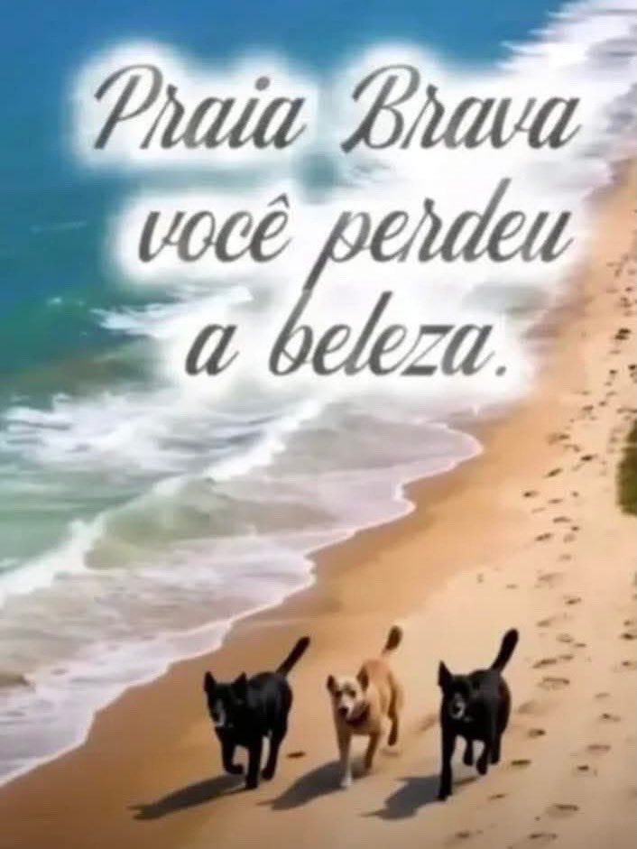 Orelha, Pretinha e Caramelo merecem justiça! 🐾💔

A dor deles não pode ser ignorada.
#JustiçaPorOrelha
#JUSTICAPORORELHA
#JUSTICAPORORELHAEAMIGOS

🐶