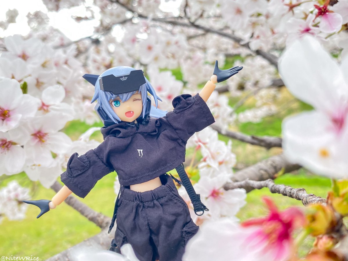 NiteWRice (晚W饭) tweet media