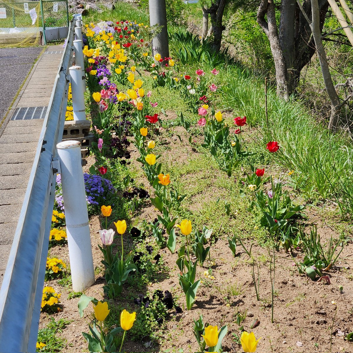 深谷陽 tweet media