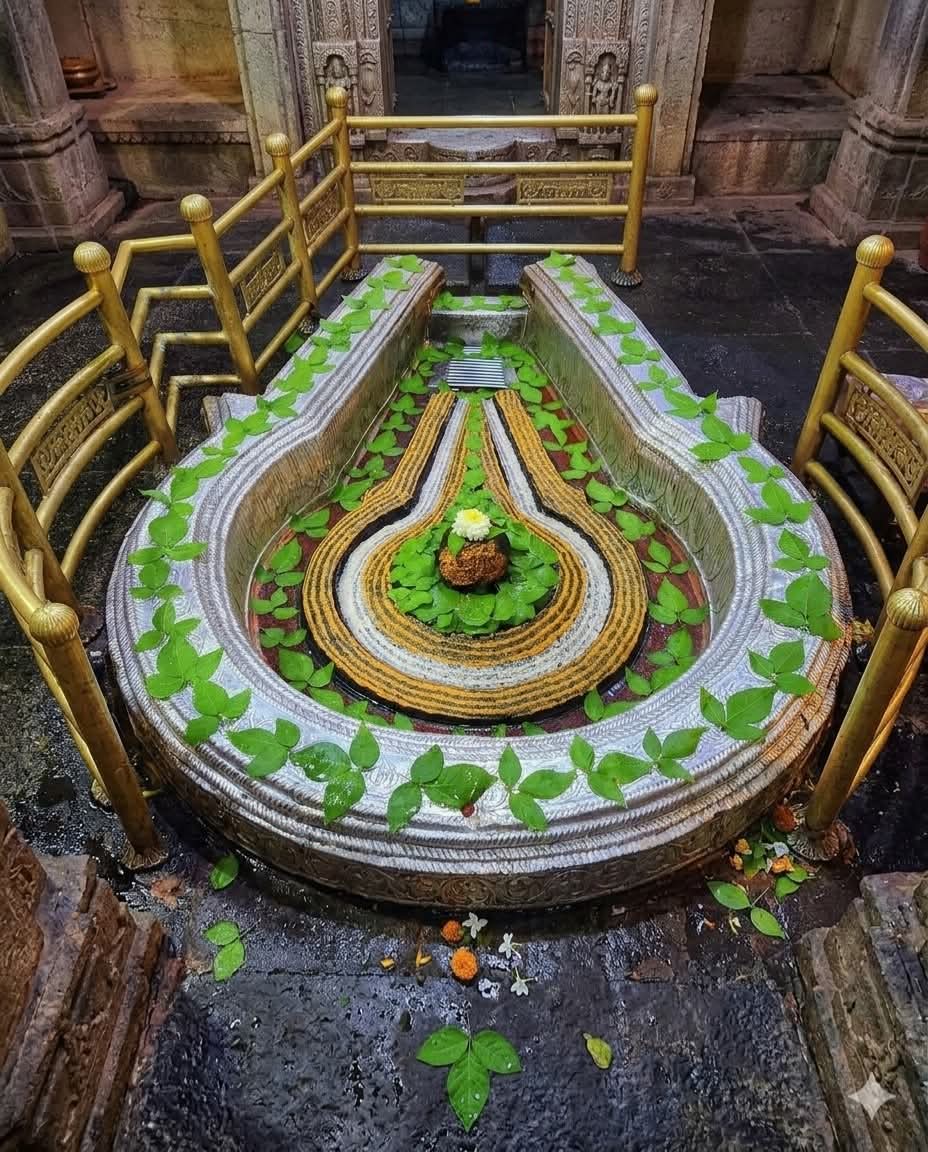 000__meenu__464's tweet image. श्री भीमाशंकर ज्योतिर्लिंग दिव्य दर्शन 🙏🌸