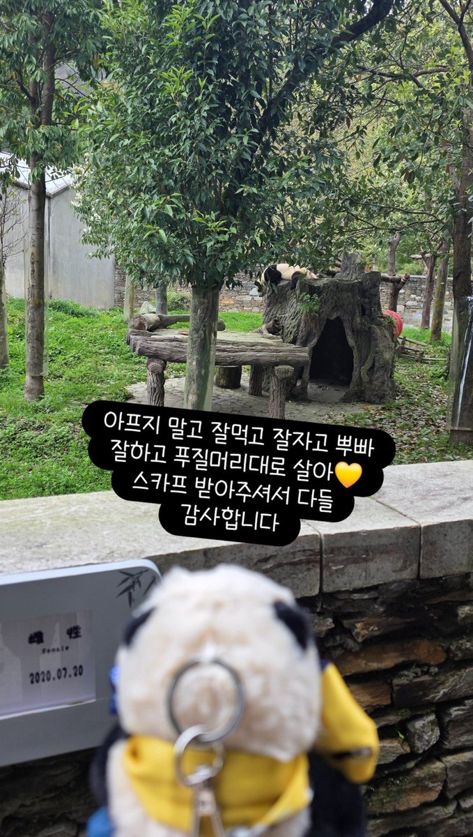 PebbleWavesteam's tweet photo. 나눔 종료입니다
다들 받아주셔서 정말 감사합니다💛 https://t.co/HFDmu8eY5A