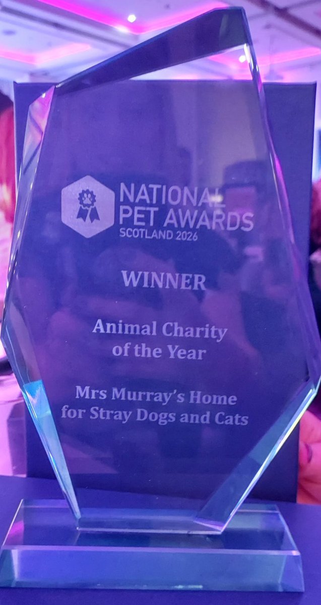 mrsmurrays's tweet photo. What a weekend folks!
We attended the National Pet Awards Scotland in Glasgow on Saturday night.
We won!!!
Animal Charity of the Year (2nd year in a row)
#findyournewbestfriend #nationalpetawardsscotland #winner #dreamteam https://t.co/AfJIWhNUPY