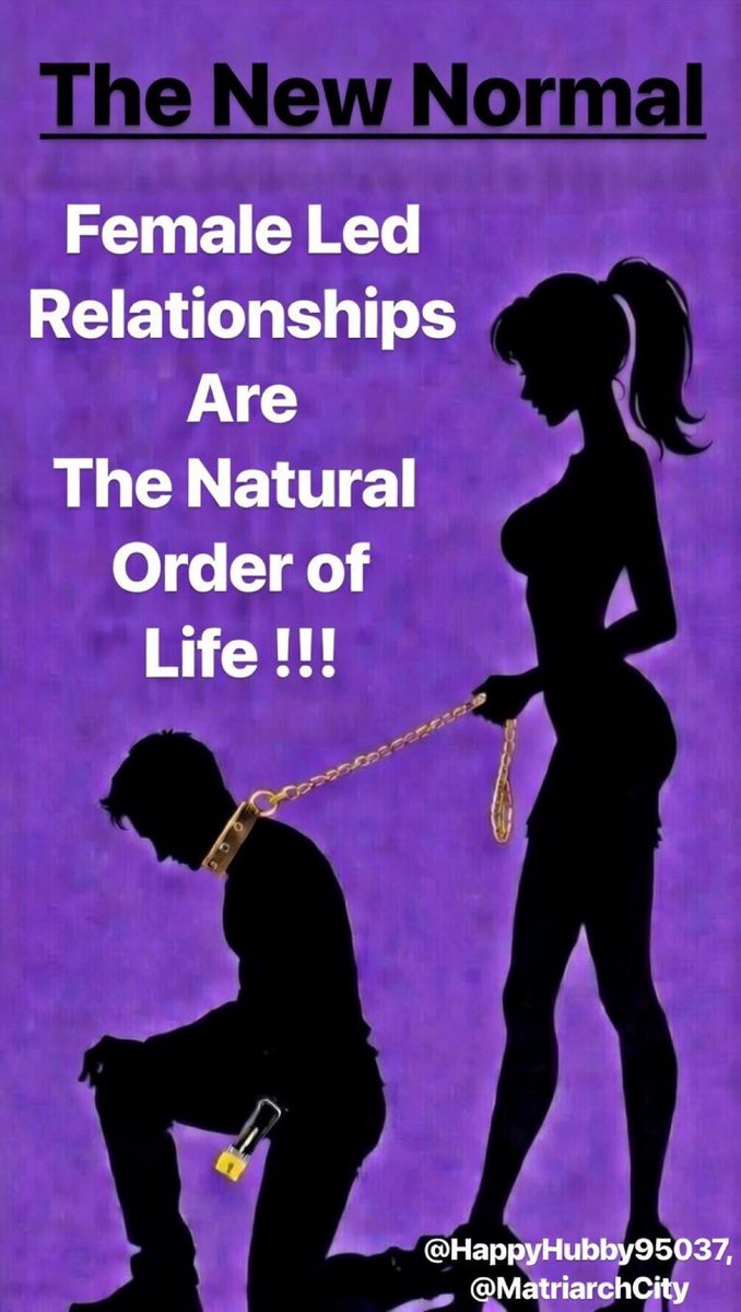 PlanetDomination tweet media