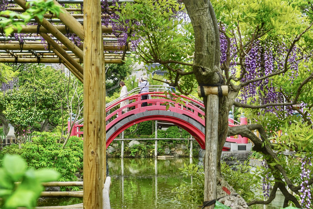 御朱印・神社メモ tweet media