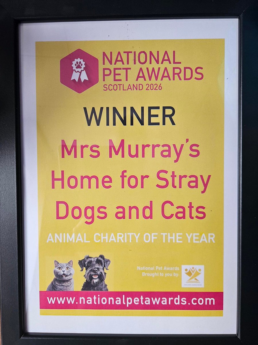 mrsmurrays's tweet photo. What a weekend folks!
We attended the National Pet Awards Scotland in Glasgow on Saturday night.
We won!!!
Animal Charity of the Year (2nd year in a row)
#findyournewbestfriend #nationalpetawardsscotland #winner #dreamteam https://t.co/AfJIWhNUPY