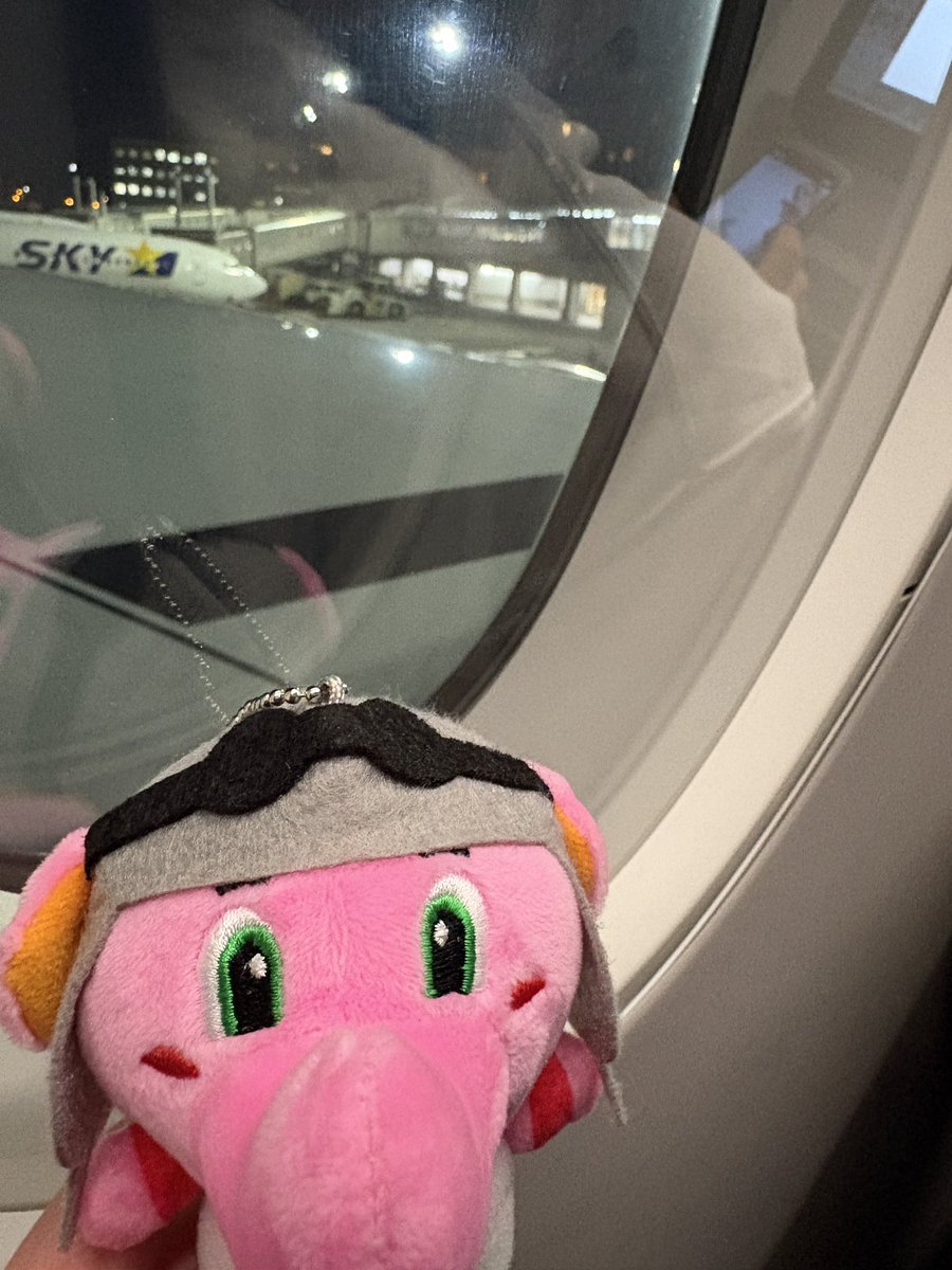 無事搭乗しました、千葉に帰ります✈️