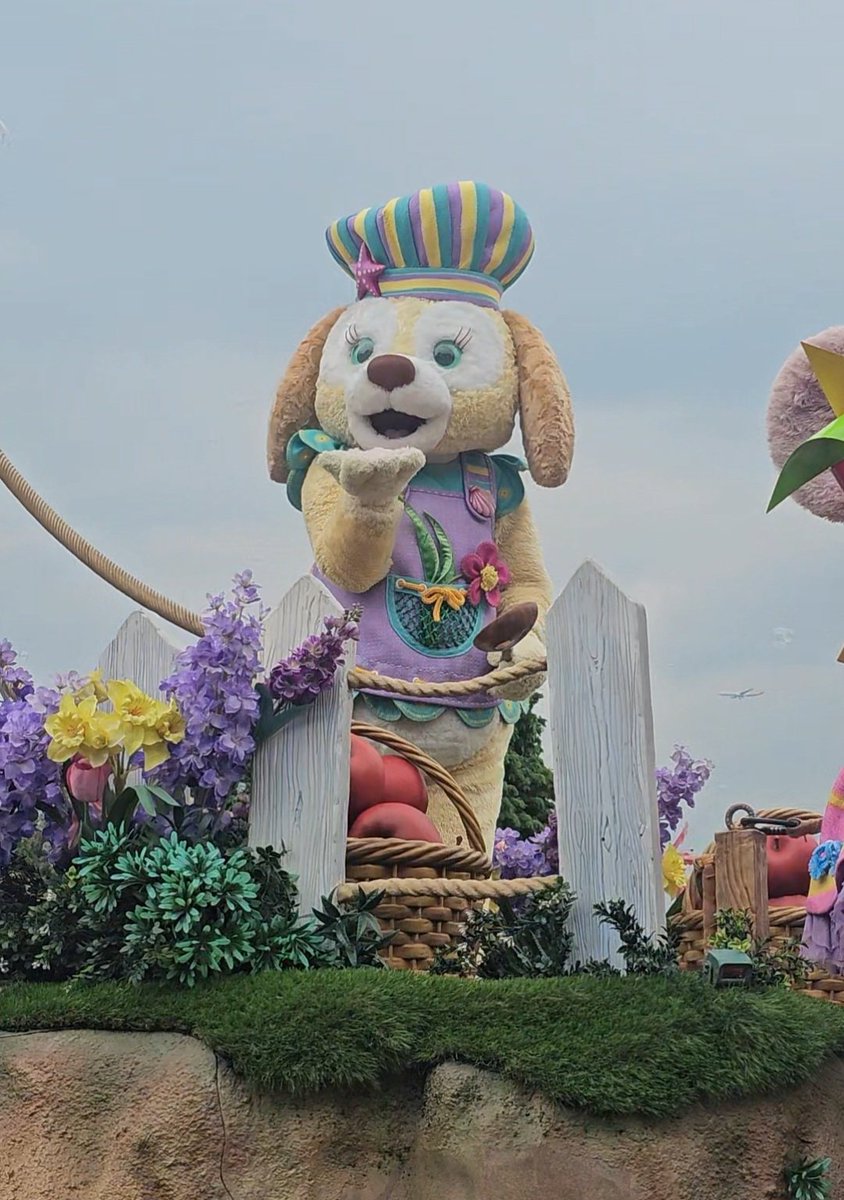 Meliorad tweet media