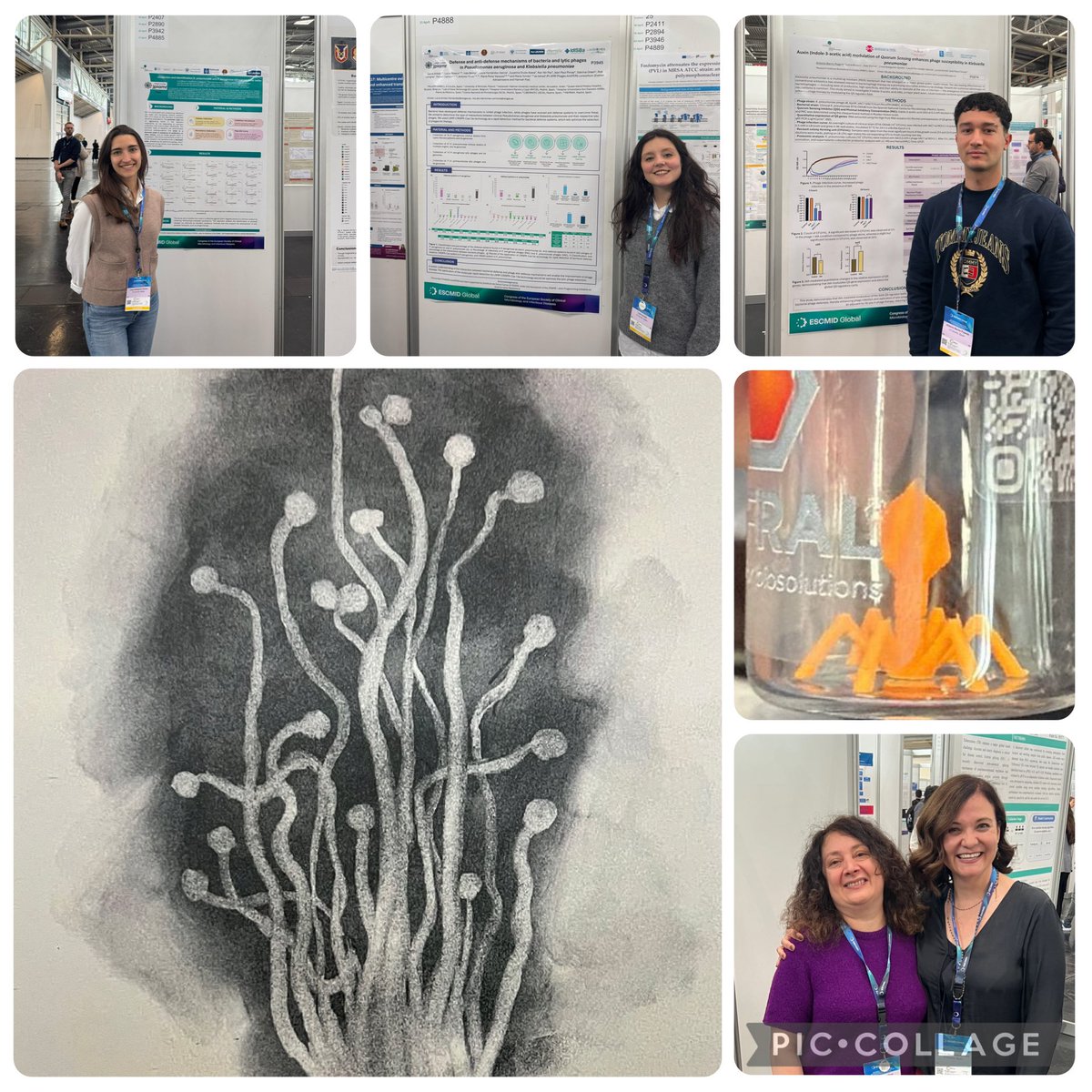 phagesAntiPERS's tweet photo. #ESCMIDGlobal2026 #AntiPERSPhages @ESCMID @JPIAMR @MariadelMarTom @PaulPirnay @MotherOfPhage @rannirpaz1 @DrulisKawa @RobLavigne1 #MePRAM #MicroTM https://t.co/hYDc3Rh5Wp