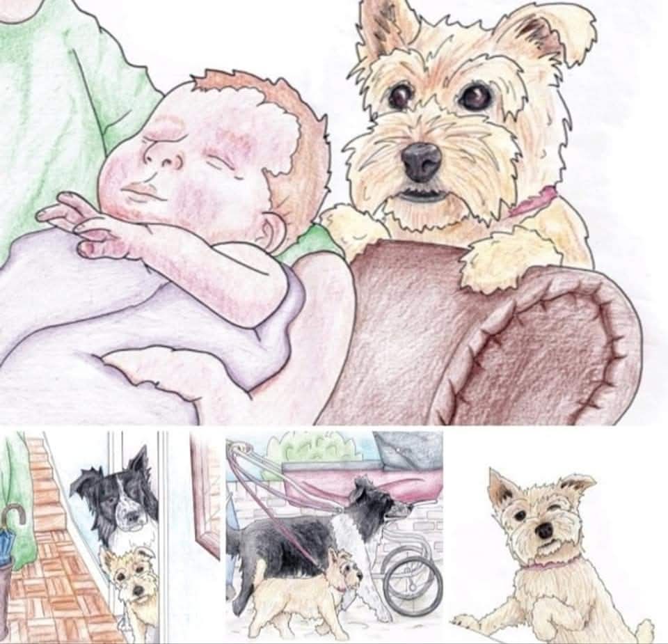 SianLewin1's tweet image. Some of my favourite illustrations from Alfie &amp;amp; Pepper meet the new baby 🥰🐾

A warm story about a treat, but not necessarily a physical treat. It's about someone else having the treat, but you feel warm and fuzzy 🤗 
sianlewin.com
#bookseries
#dogs 
#illustrations
