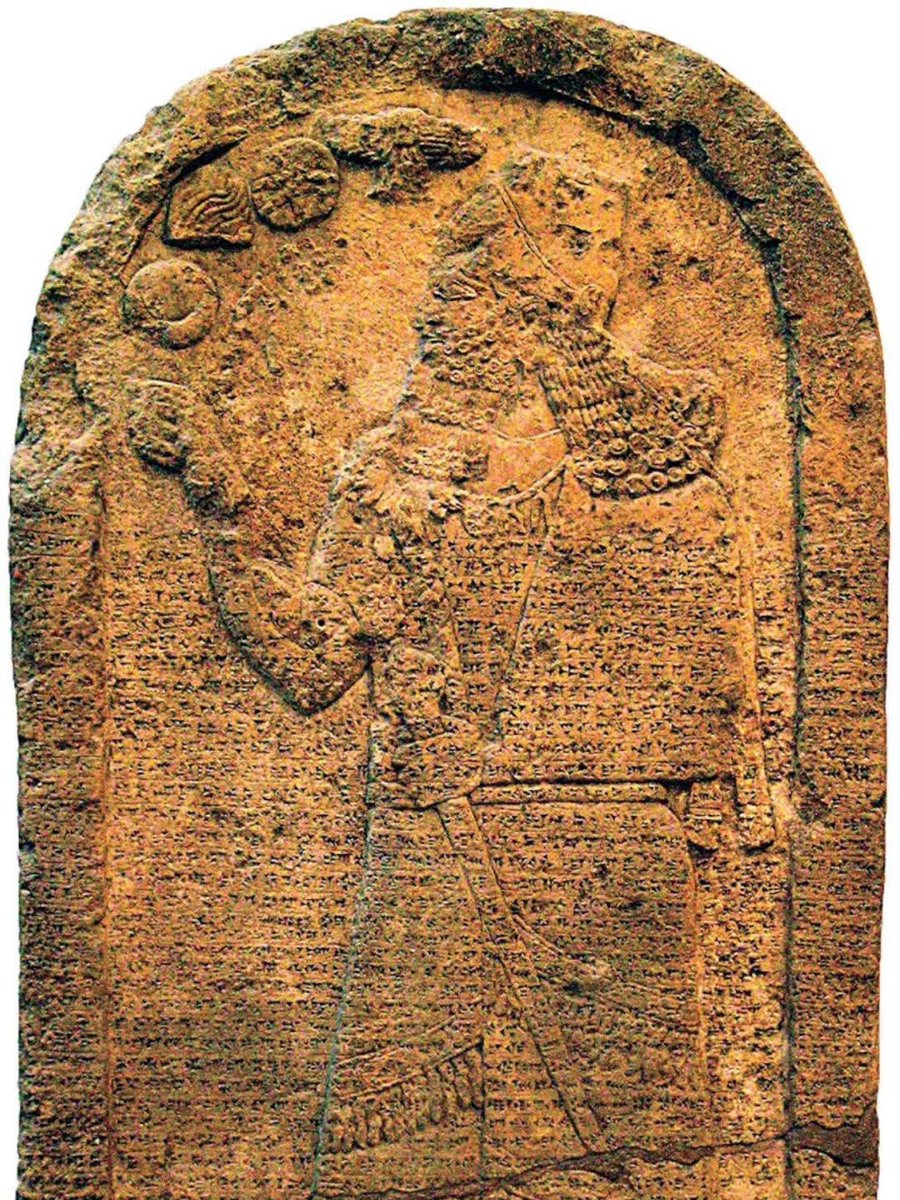 Tami 🇮🇱 tweet media