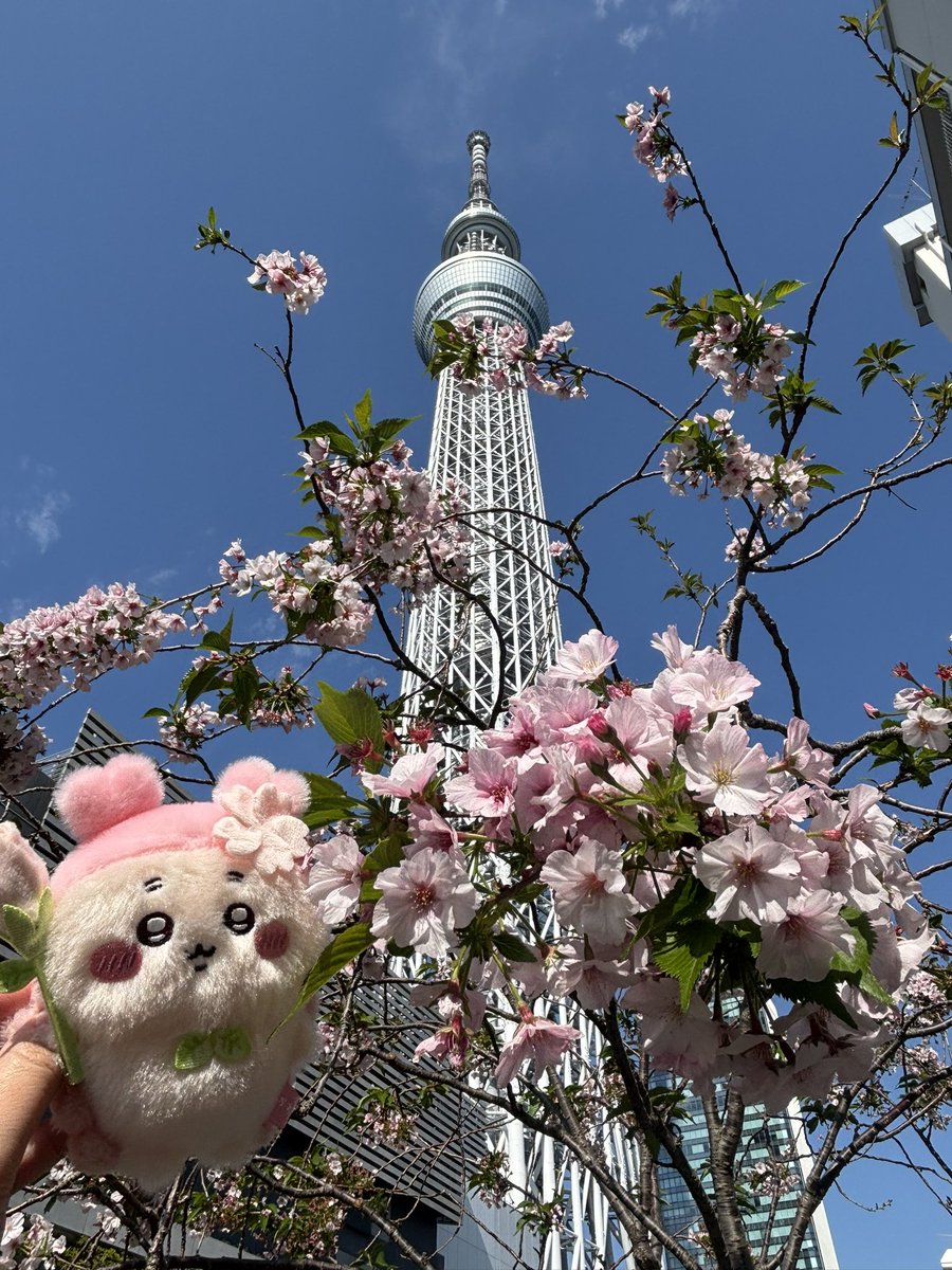 ちょり tweet media